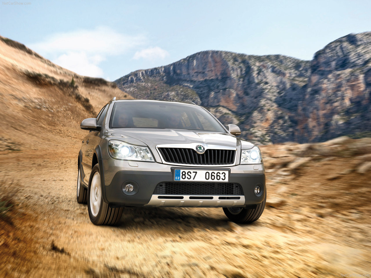 Skoda Octavia 2014 with a touch of adventure - SellAnyCar.com - Sell ...